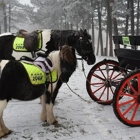 Daire Lang & Zlatibor